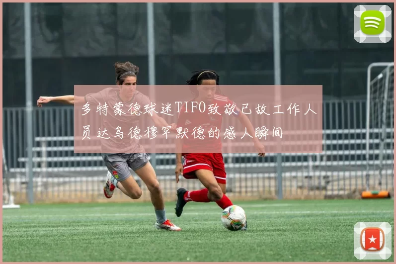 多特蒙德球迷TIFO致敬已故工作人员达乌德穆罕默德的感人瞬间
